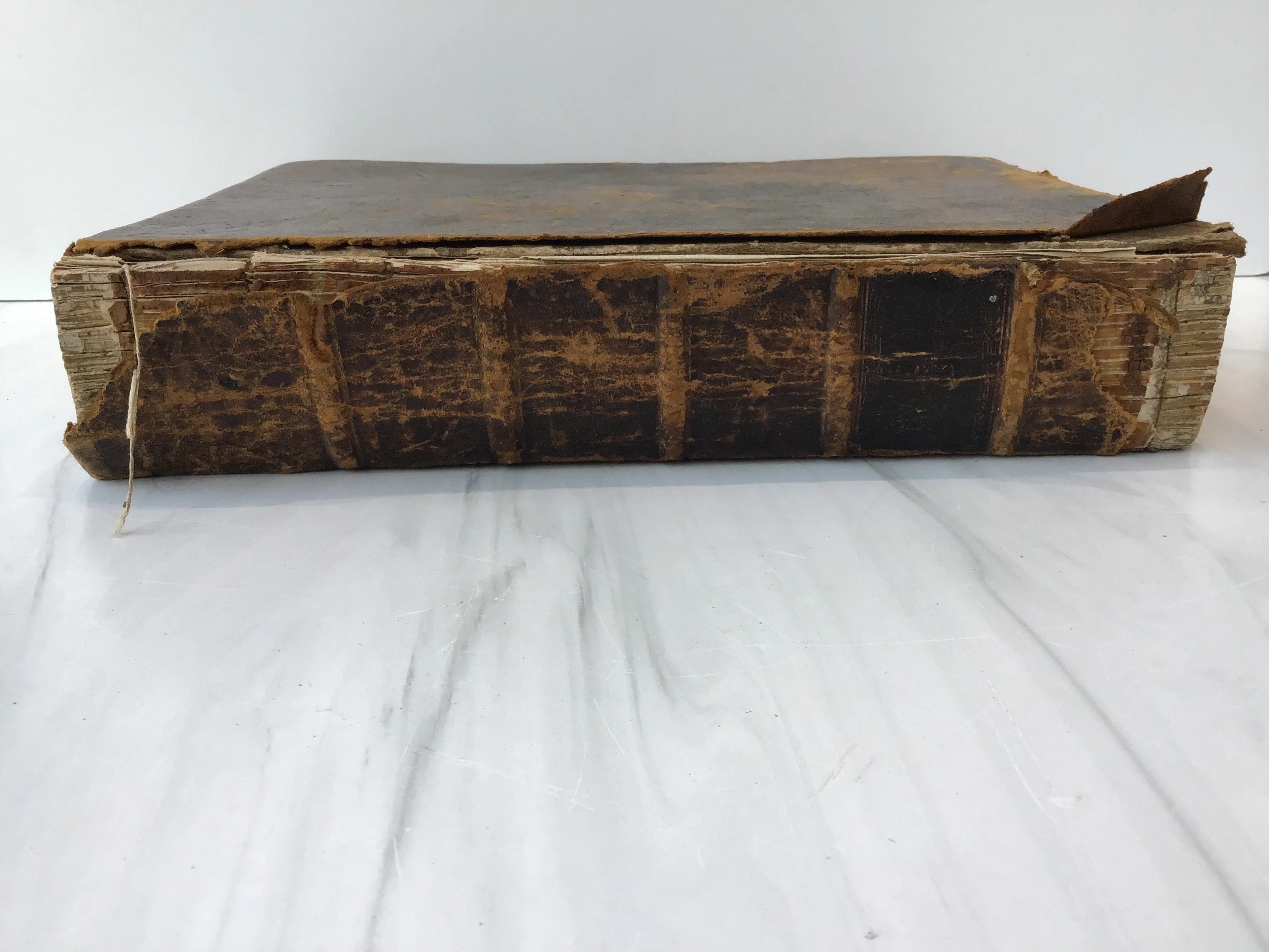 -Holy Bible 1828*