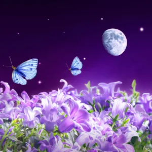 Magical Moon Garden Fragrance Oil