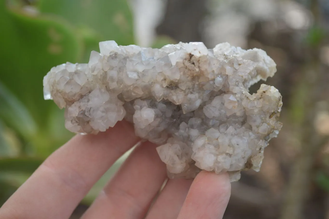 Natural Drusy Mountain Quartz Specimens x 12 From Alberts Mountain, Lesotho