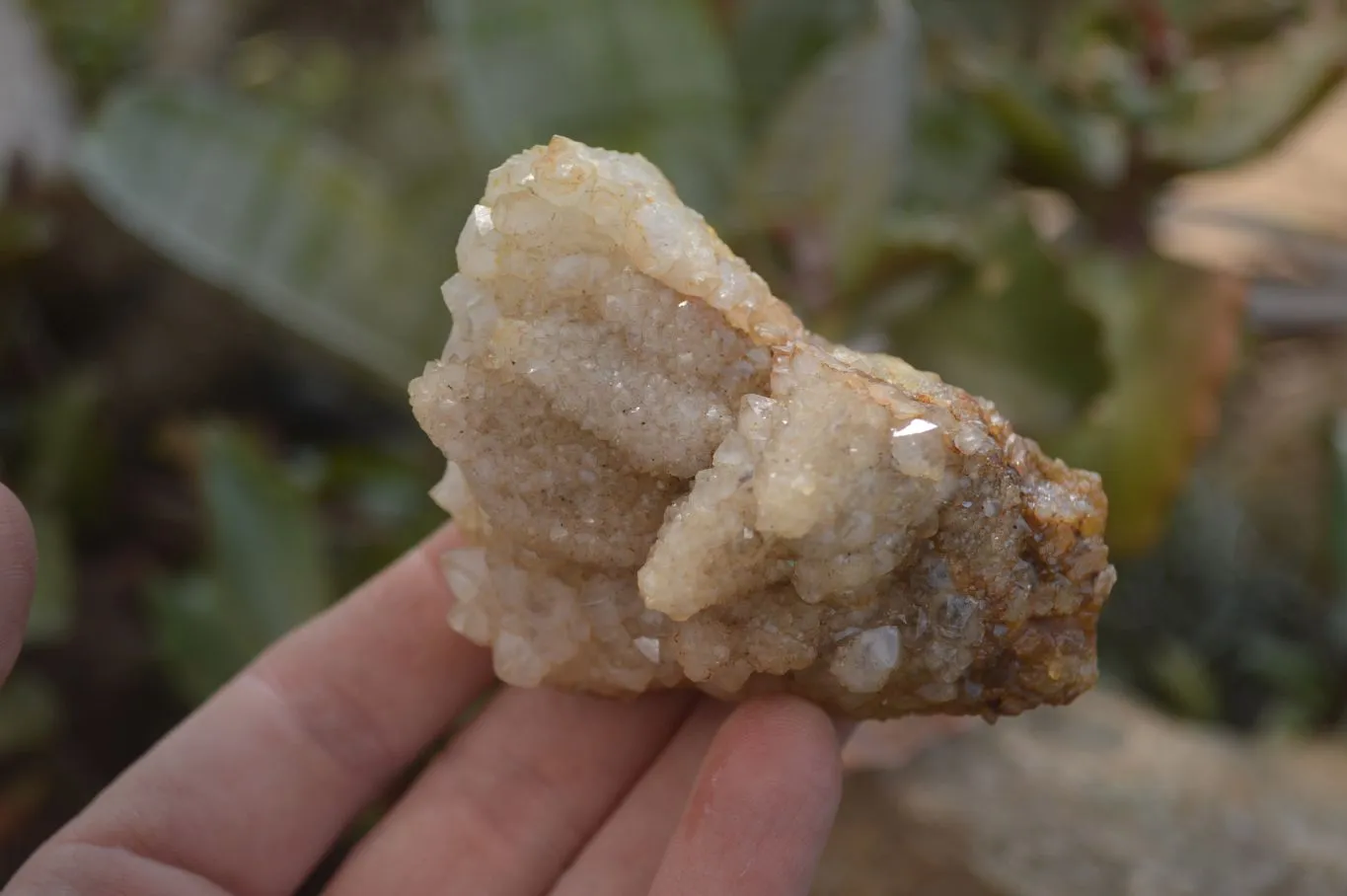 Natural Drusy Mountain Quartz Specimens x 12 From Alberts Mountain, Lesotho