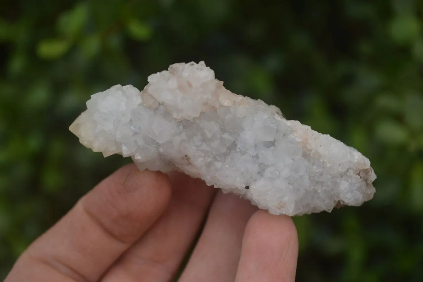 Natural Drusy Mountain Quartz Specimens x 12 From Alberts Mountain, Lesotho