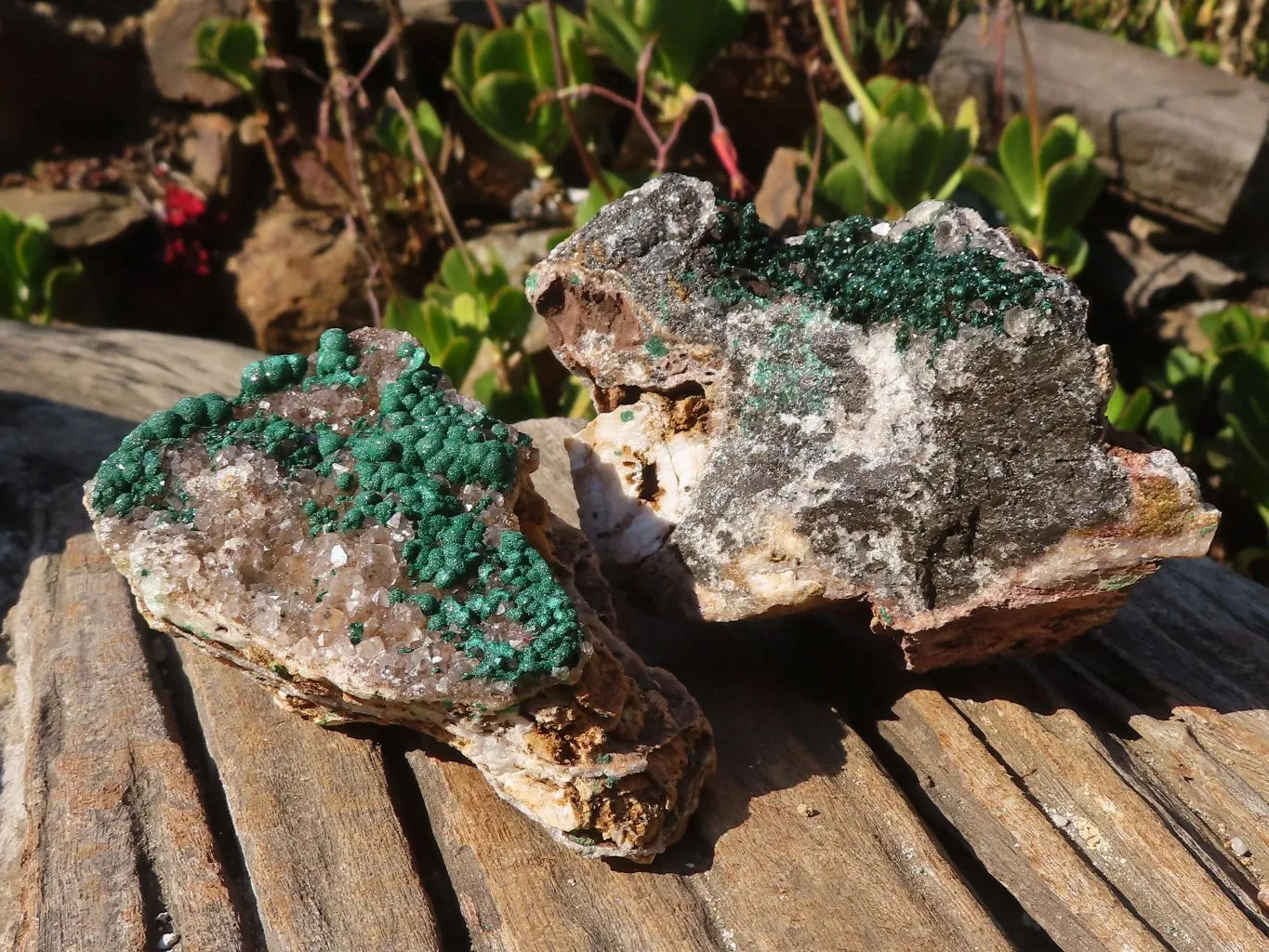 Natural Rare Ball Malachite On Drusy Quartz & Dolomite Matrix Specimens x 2 From Kambove, Congo