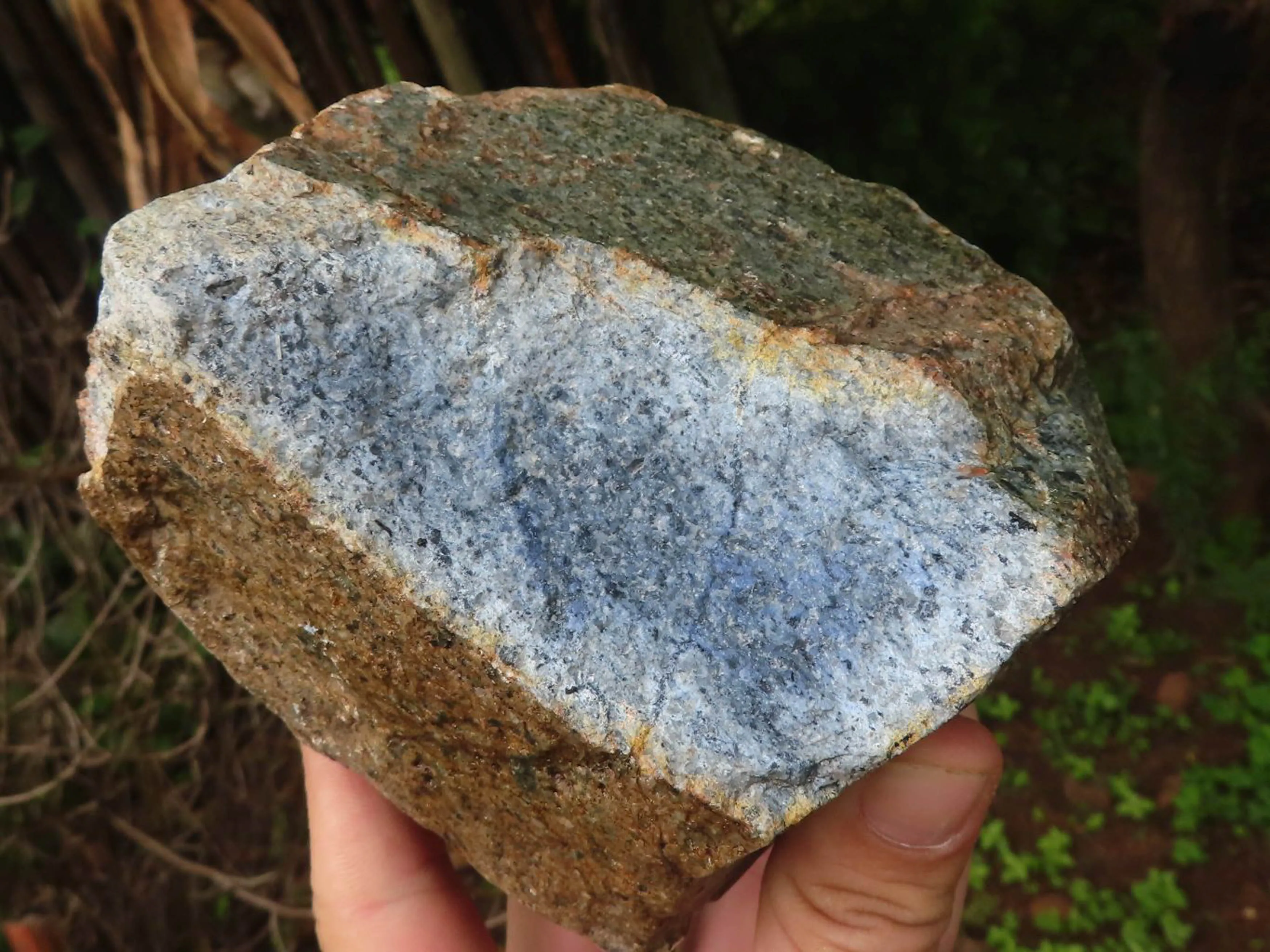 Natural Rare Blue Dumortierite Rough Specimens x 5 From Mozambique