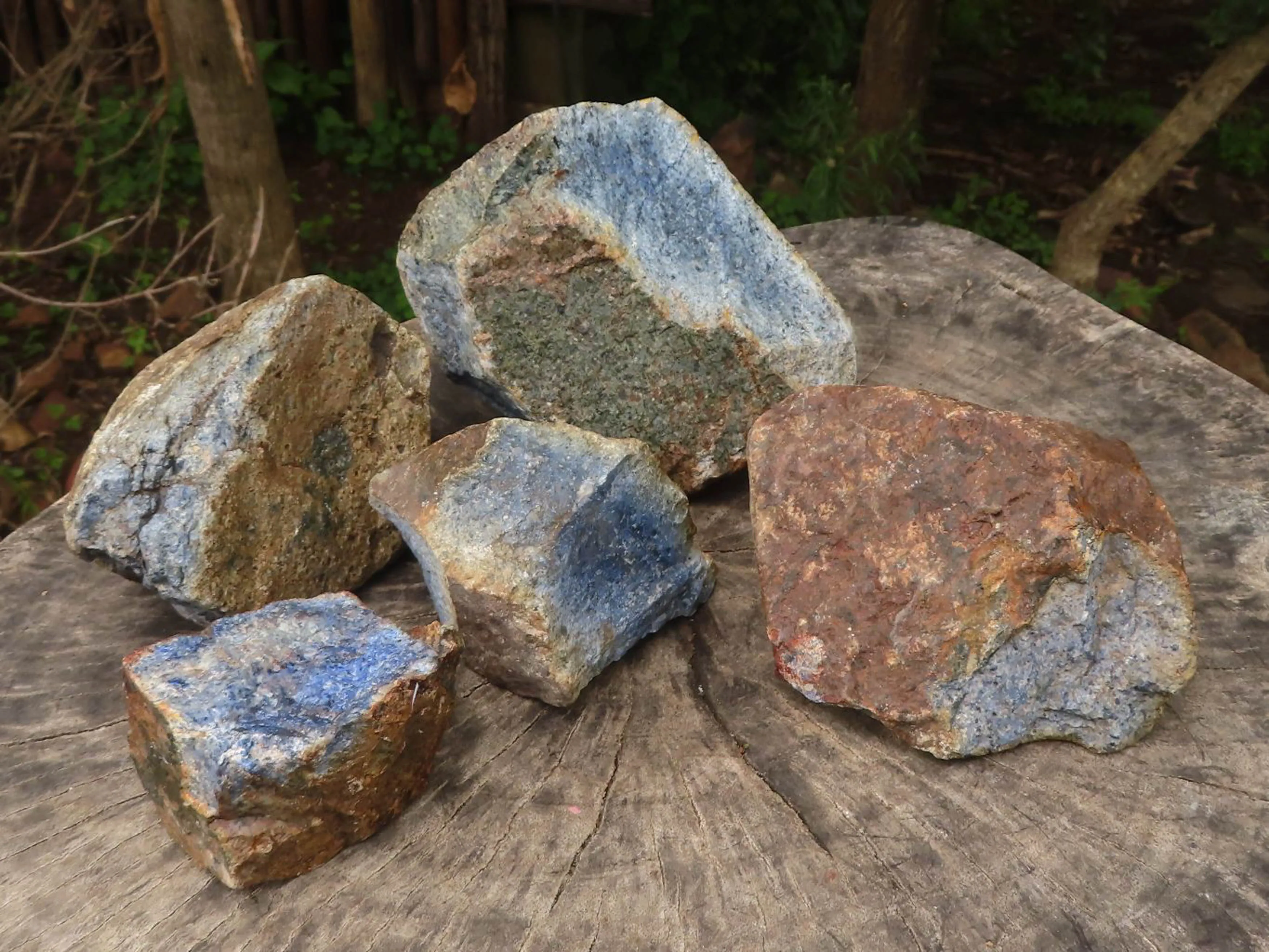 Natural Rare Blue Dumortierite Rough Specimens x 5 From Mozambique