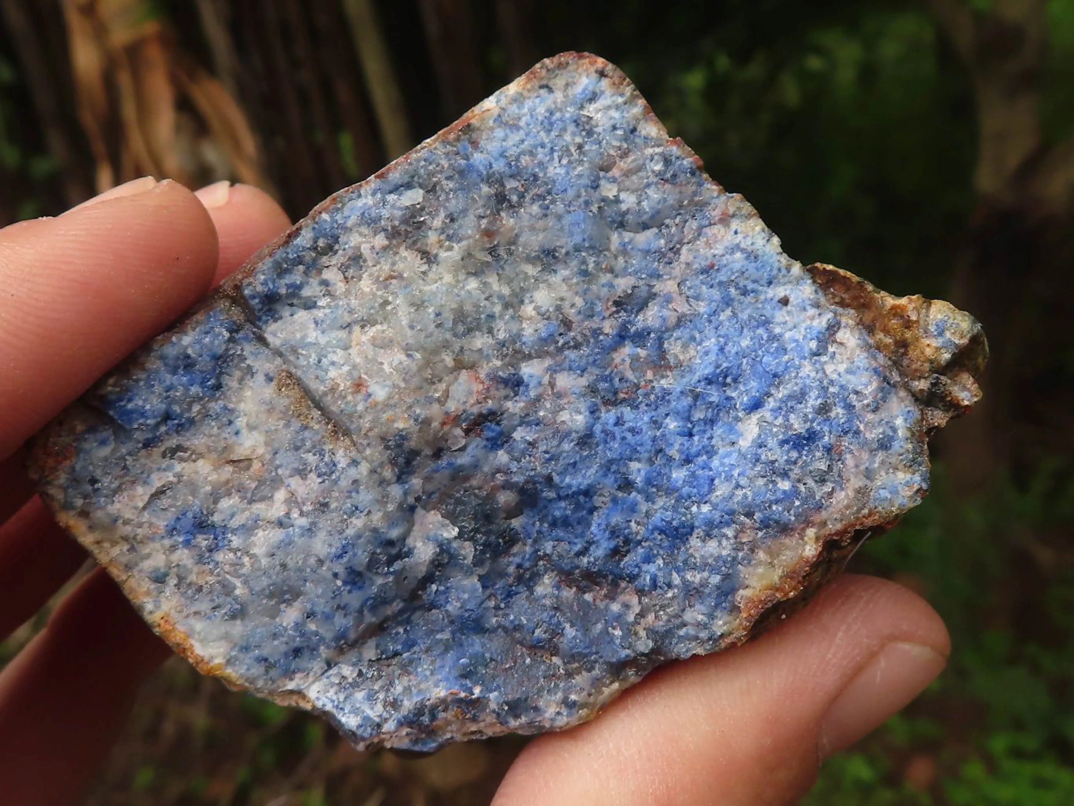 Natural Rare Blue Dumortierite Rough Specimens x 5 From Mozambique