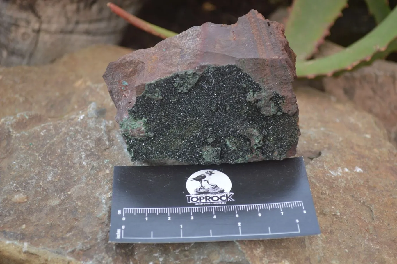 Natural Rare Copper Phosphate Libethenite Crystals On Dolomite Matrix Specimens x 2 From Congo