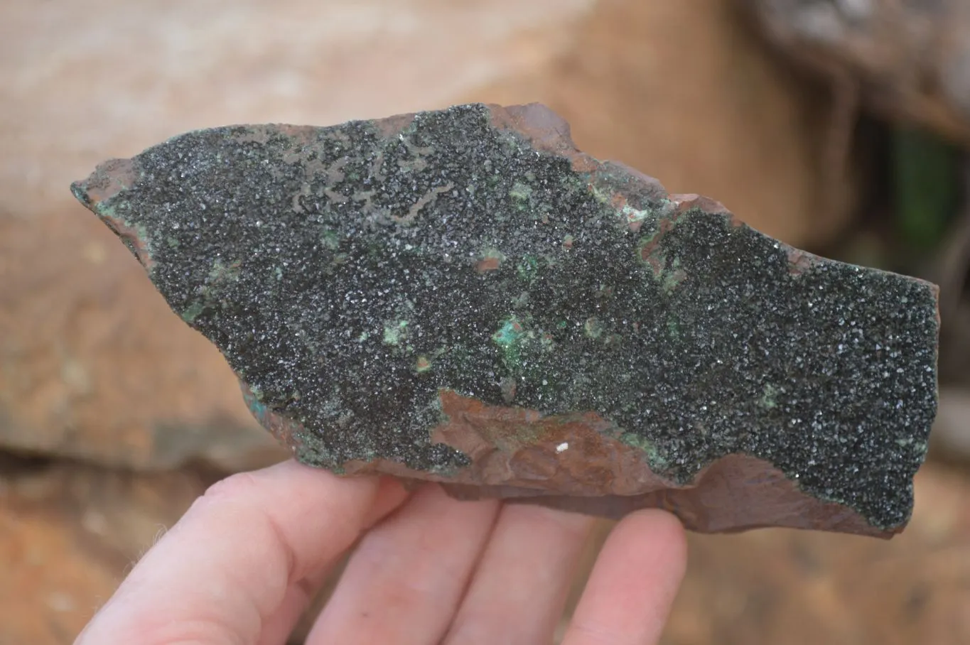 Natural Rare Copper Phosphate Libethenite Crystals On Dolomite Matrix Specimens x 2 From Congo