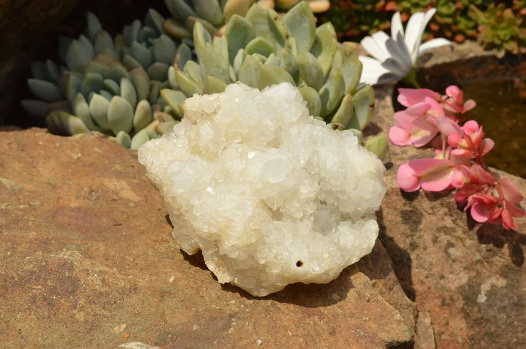 Natural Rare Mountain "Snow" Quartz Specimens x 15 From Alberts Mountain, Lesotho