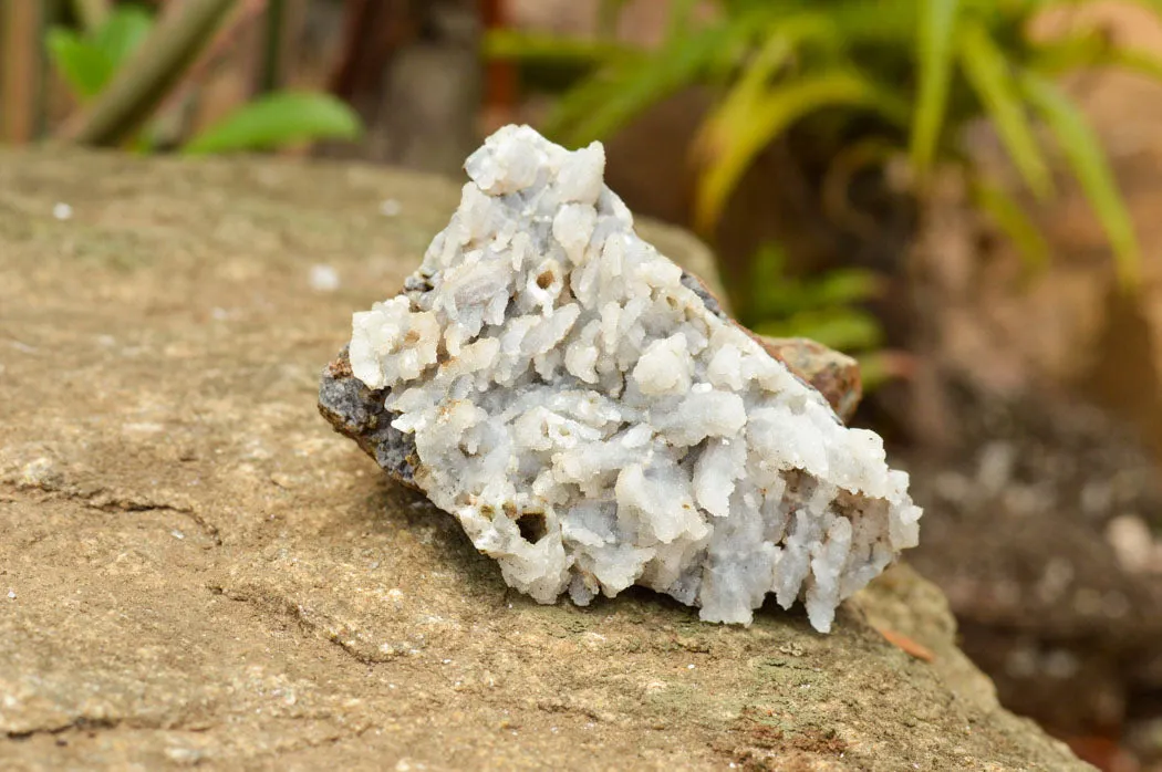 Natural Rare Mountain "Snow" Quartz Specimens x 15 From Alberts Mountain, Lesotho