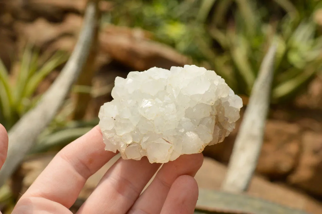 Natural Rare Mountain "Snow" Quartz Specimens x 15 From Alberts Mountain, Lesotho