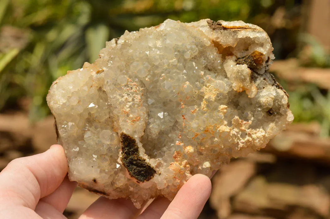 Natural Rare Mountain "Snow" Quartz Specimens x 15 From Alberts Mountain, Lesotho