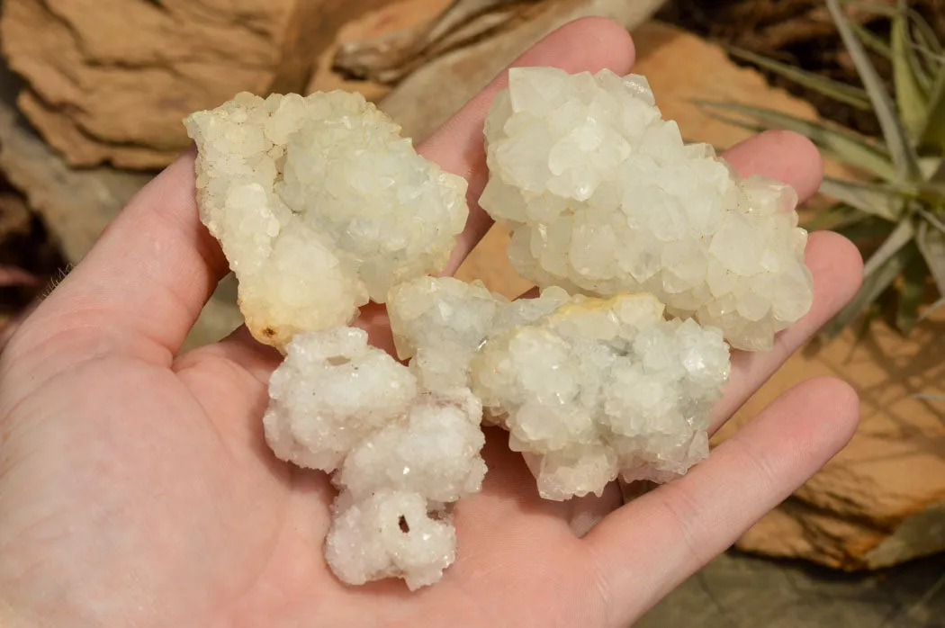 Natural Rare Mountain "Snow" Quartz Specimens x 15 From Alberts Mountain, Lesotho