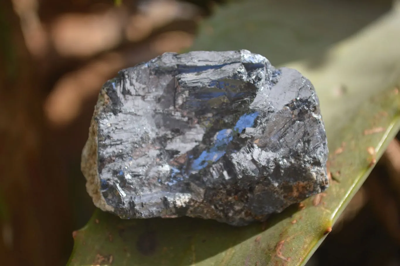 Natural Rare Silver Lead Galena Specimens x 8 From Namibia