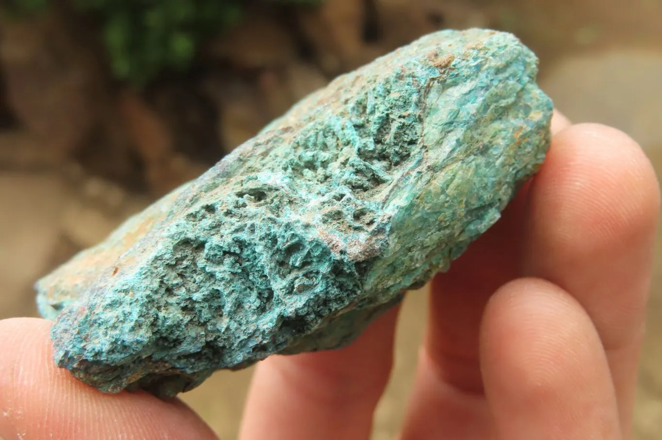 Natural Shattuckite with Chrysocolla & Malachite Specimens x 24 from Kaokoveld, Namibia