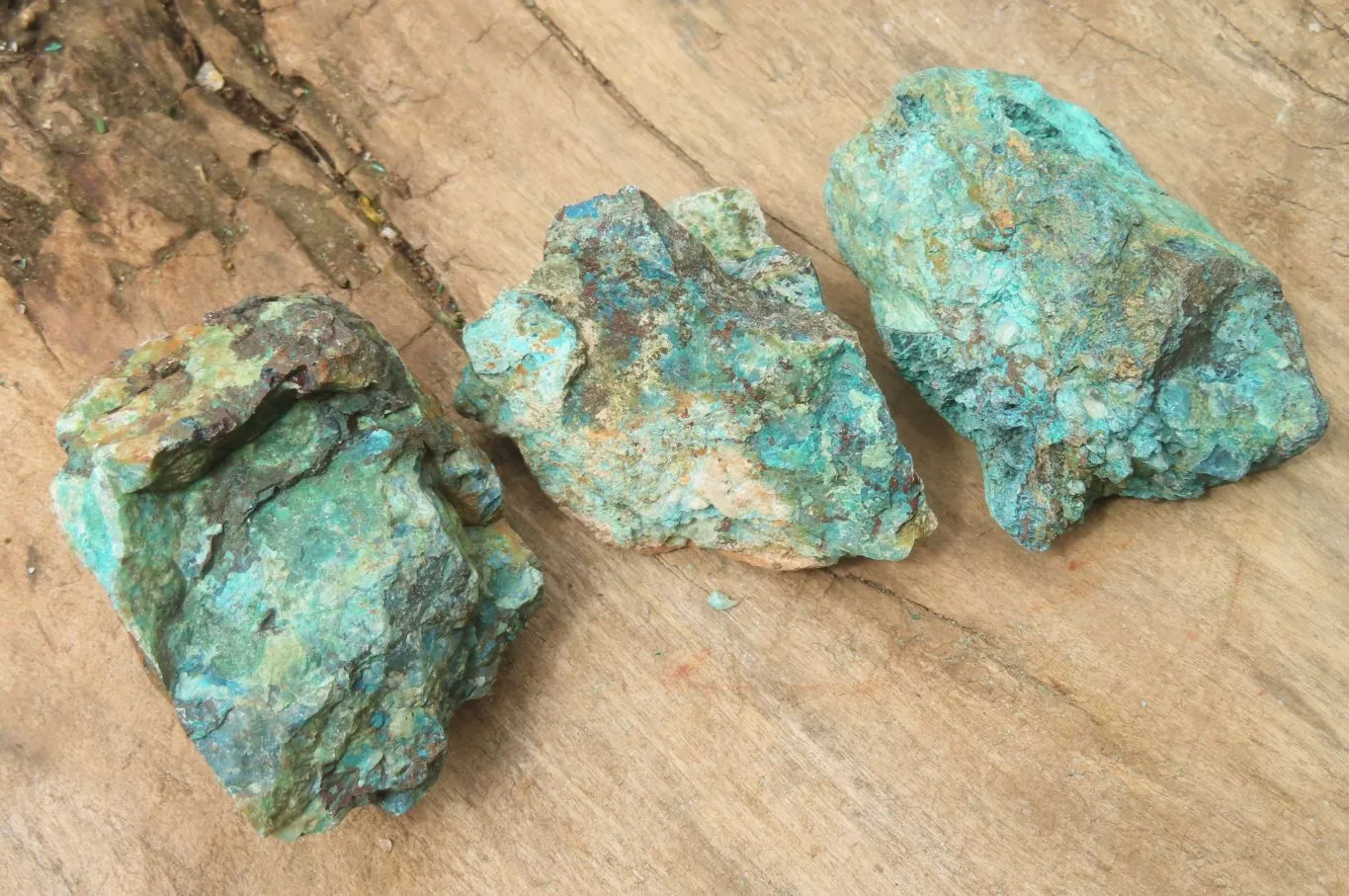 Natural Shattuckite with Chrysocolla & Malachite Specimens x 24 from Kaokoveld, Namibia