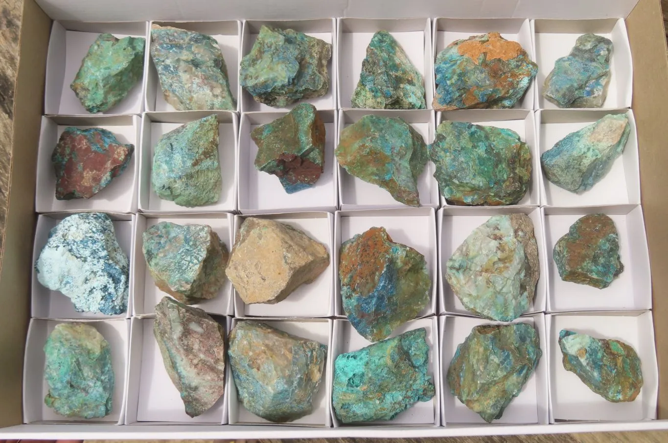 Natural Shattuckite with Chrysocolla & Malachite Specimens x 24 from Kaokoveld, Namibia