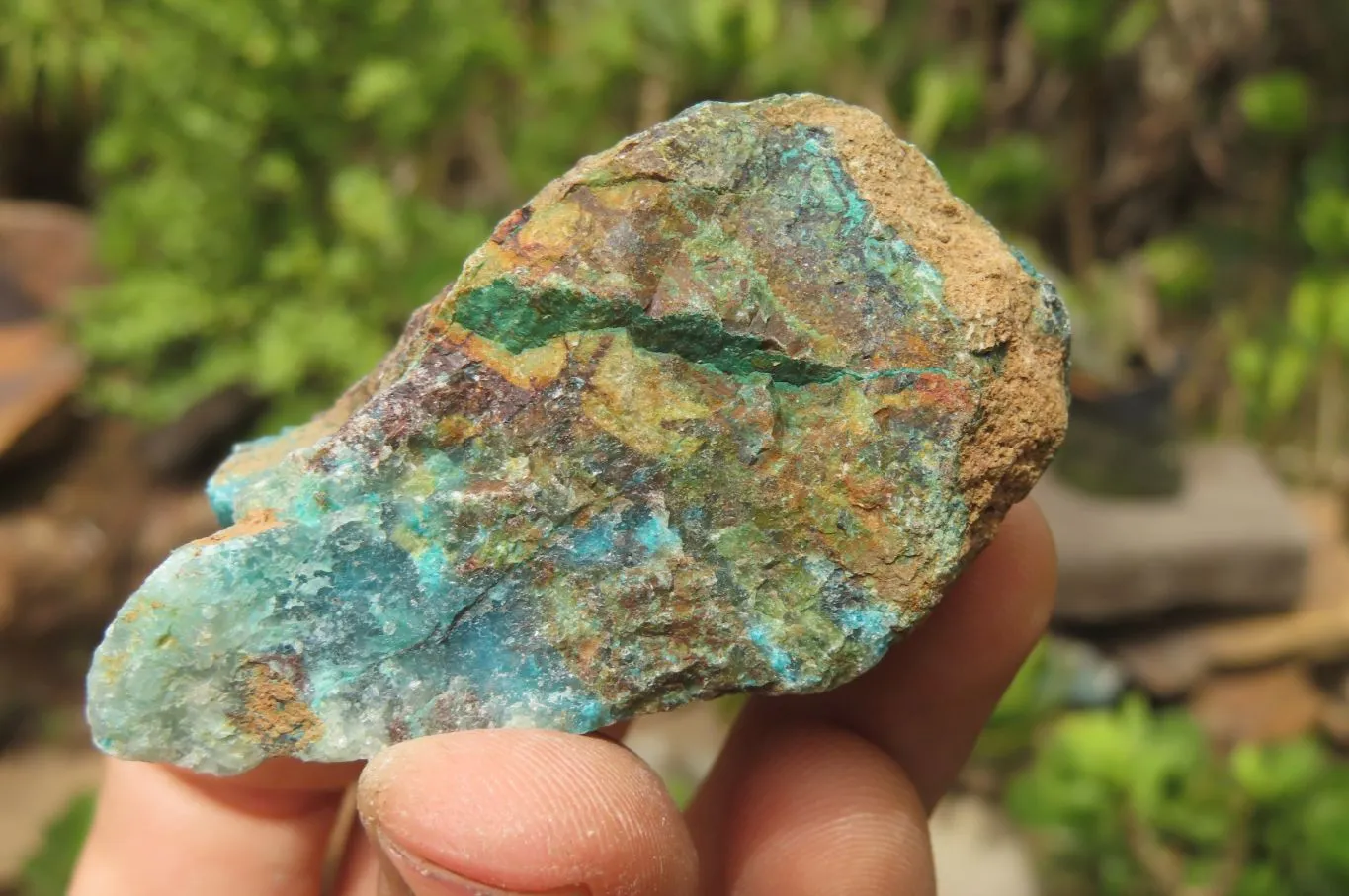 Natural Shattuckite with Chrysocolla & Malachite Specimens x 24 from Kaokoveld, Namibia