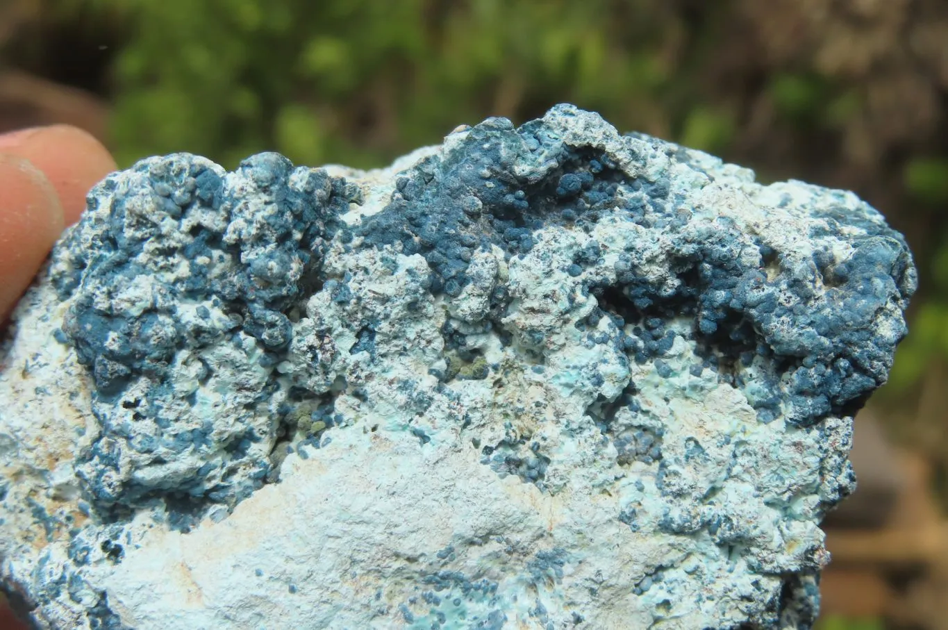 Natural Shattuckite with Chrysocolla & Malachite Specimens x 24 from Kaokoveld, Namibia