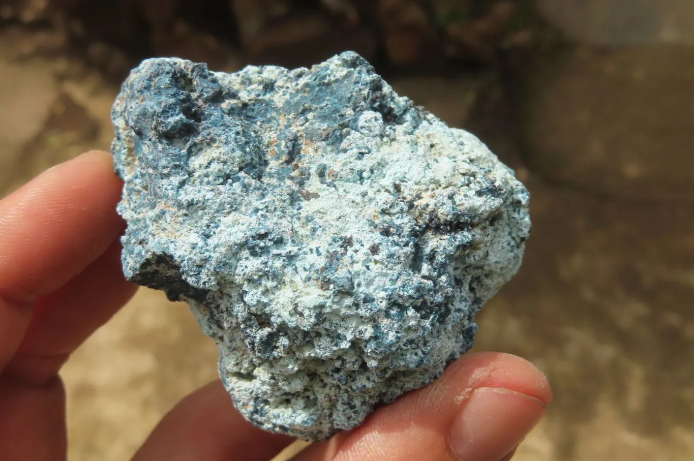 Natural Shattuckite with Chrysocolla & Malachite Specimens x 24 from Kaokoveld, Namibia