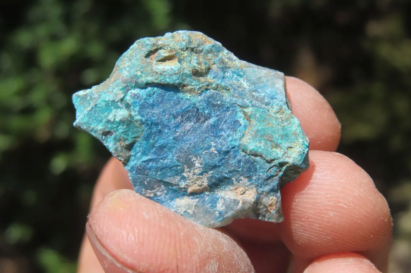 Natural Shattuckite with Chrysocolla & Malachite x 2.5 Kg Lot from Kaokoveld, Namibia