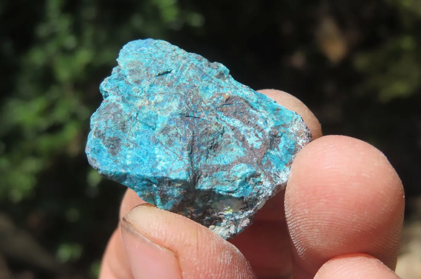 Natural Shattuckite with Chrysocolla & Malachite x 2.5 Kg Lot from Kaokoveld, Namibia