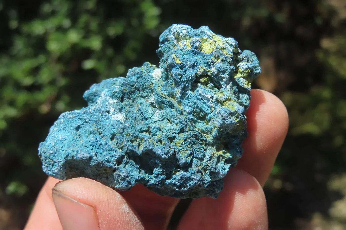 Natural Shattuckite with Chrysocolla & Malachite x 2.5 Kg Lot from Kaokoveld, Namibia