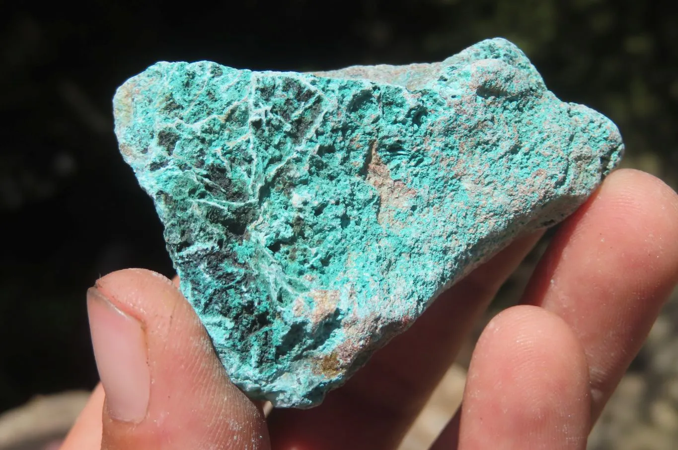 Natural Shattuckite with Chrysocolla & Malachite x 2.5 Kg Lot from Kaokoveld, Namibia