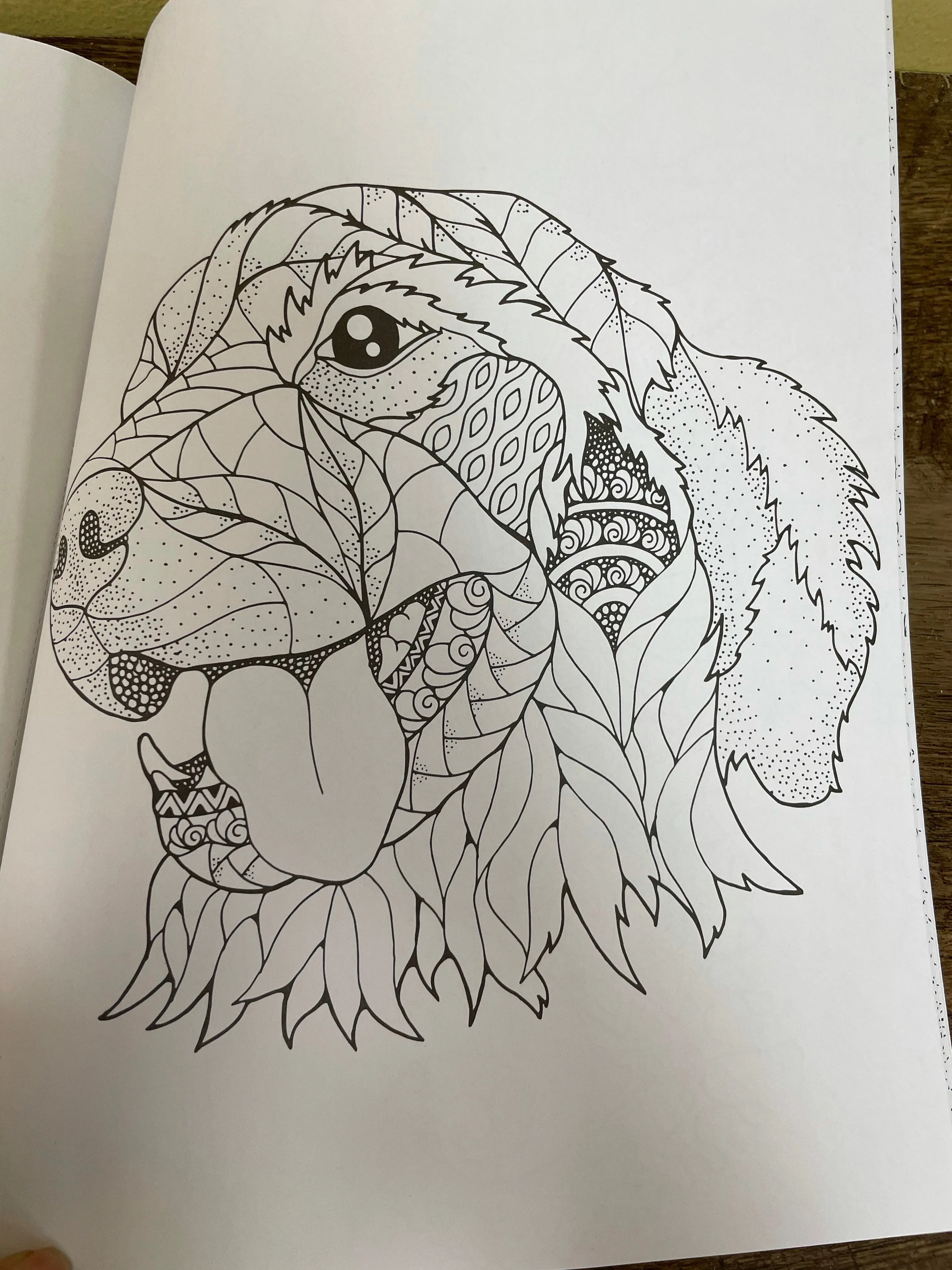 NEW  KALEIDOSCOPE Magnificent Creatures Coloring Book Volume 20 January 2022