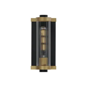 Opulent 1-Light Outdoor Wall Sconce