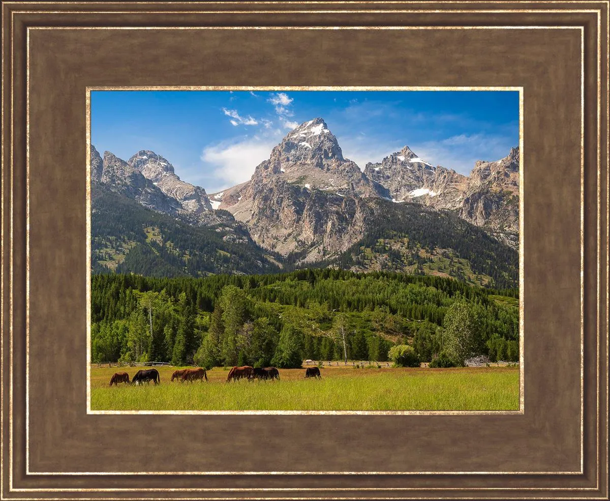 Panorama of Grand Teton Mountain Range, Wyoming