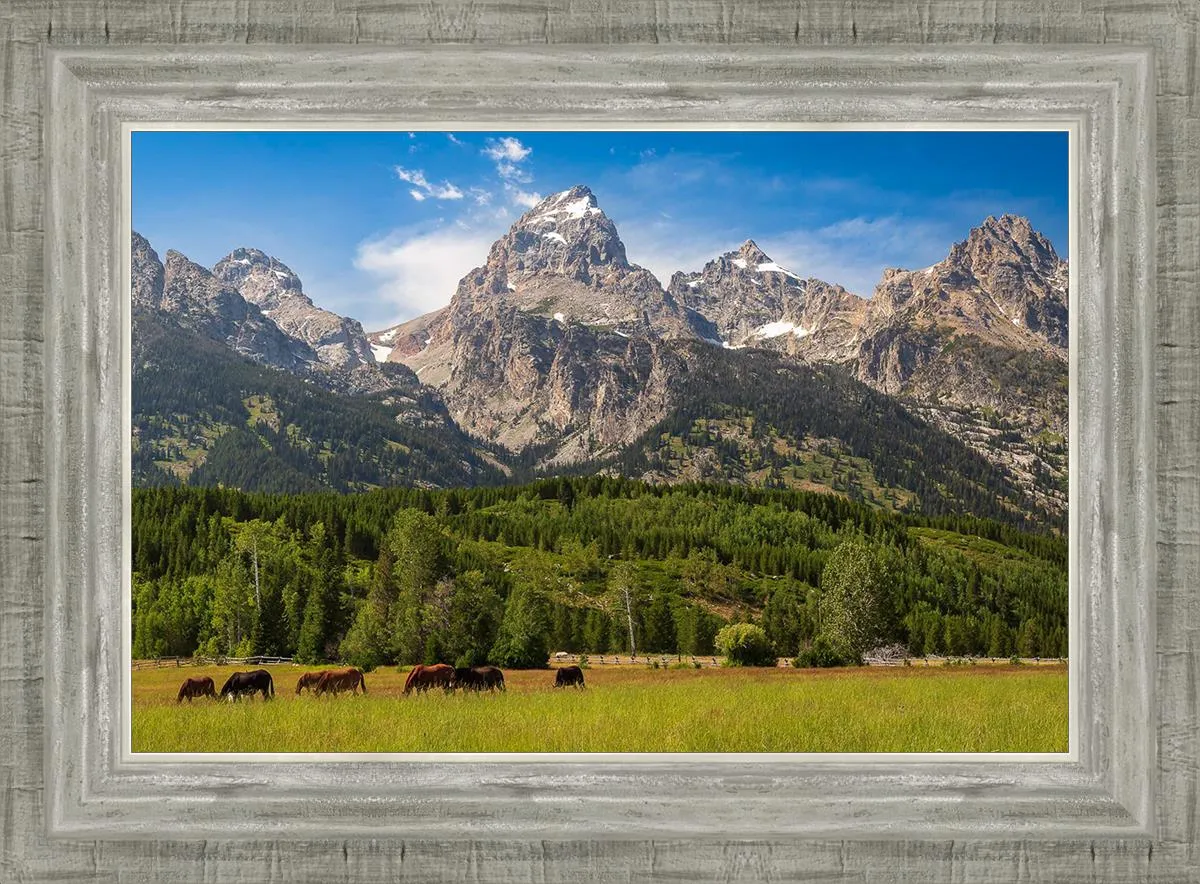 Panorama of Grand Teton Mountain Range, Wyoming