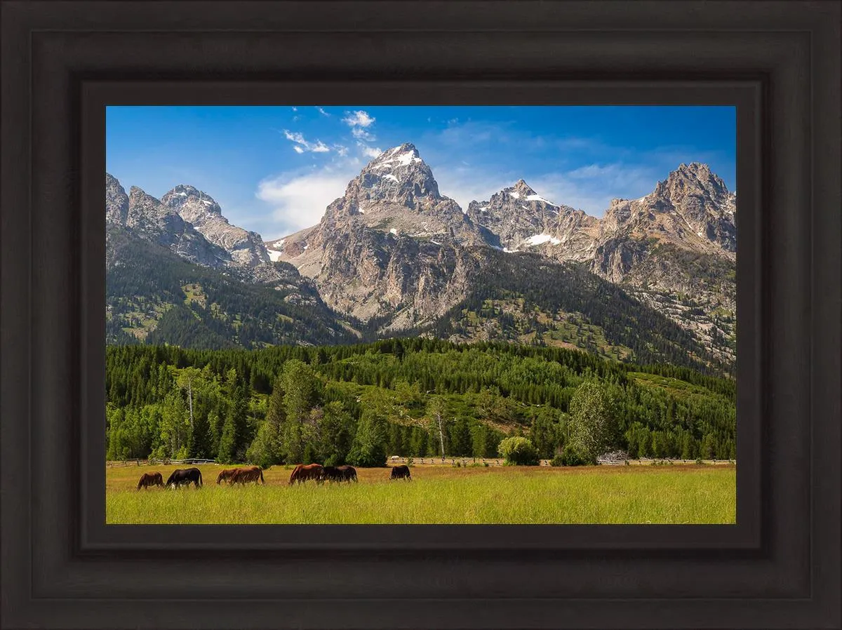 Panorama of Grand Teton Mountain Range, Wyoming