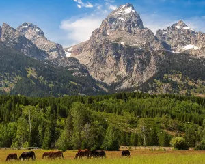 Panorama of Grand Teton Mountain Range, Wyoming