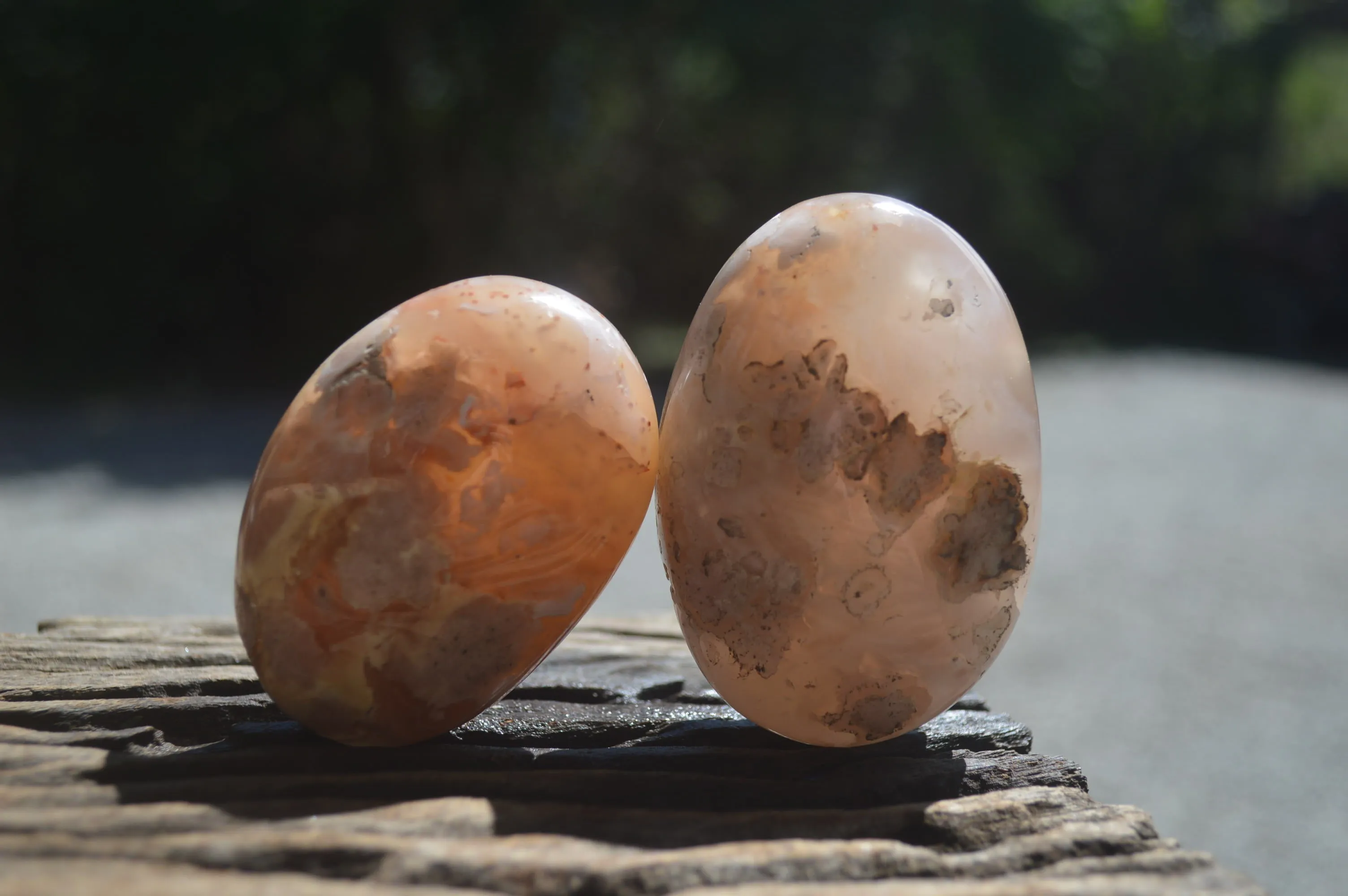 Polished Flower Agate Palm Stones x 12 From Antsahalova, Madagascar