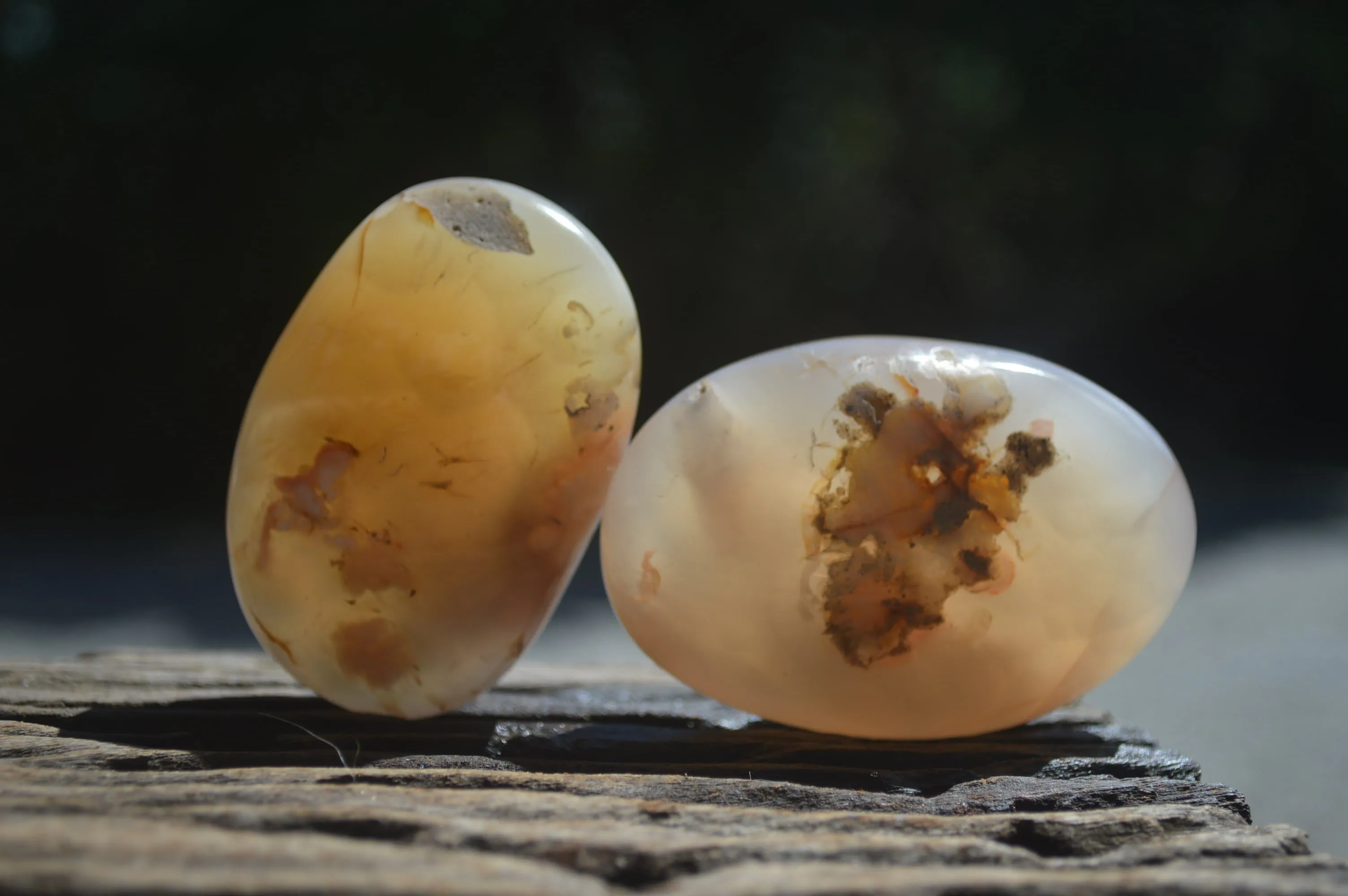 Polished Flower Agate Palm Stones x 12 From Antsahalova, Madagascar