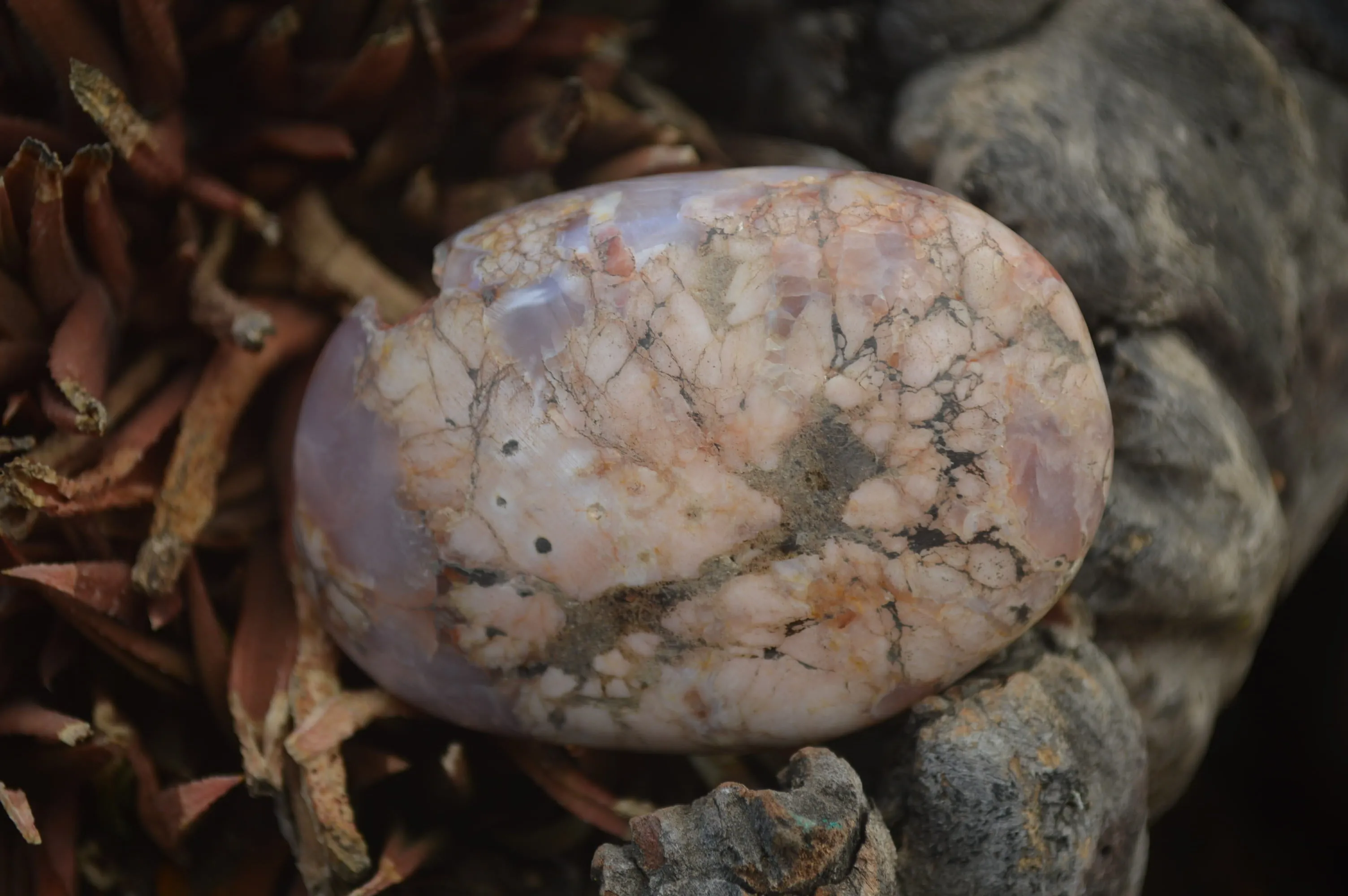 Polished Flower Agate Palm Stones x 12 From Antsahalova, Madagascar