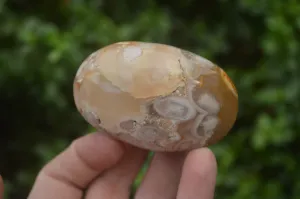 Polished Flower Agate Palm Stones x 12 From Antsahalova, Madagascar