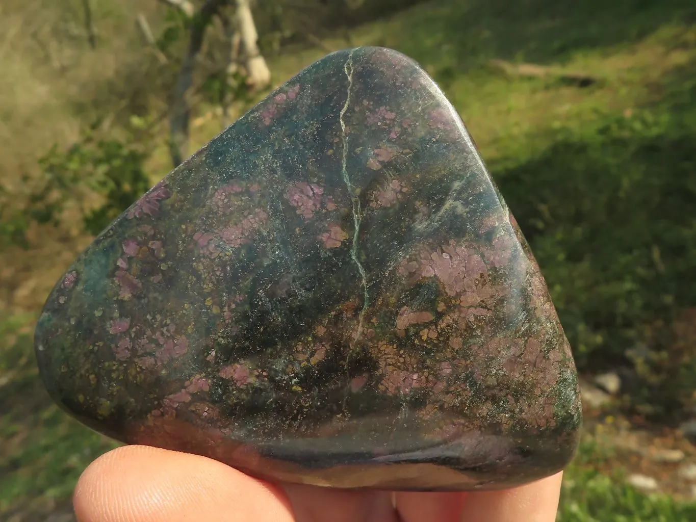 Polished Fluorescent Ruby Corundum In Chrome Verdite Free Forms x 6 From Zimbabwe