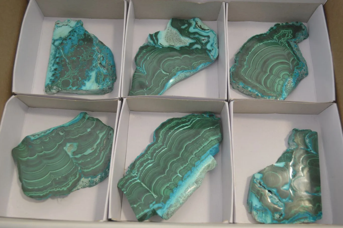 Polished Malacolla Slices x 6 From Kalukundi Mine, Congo