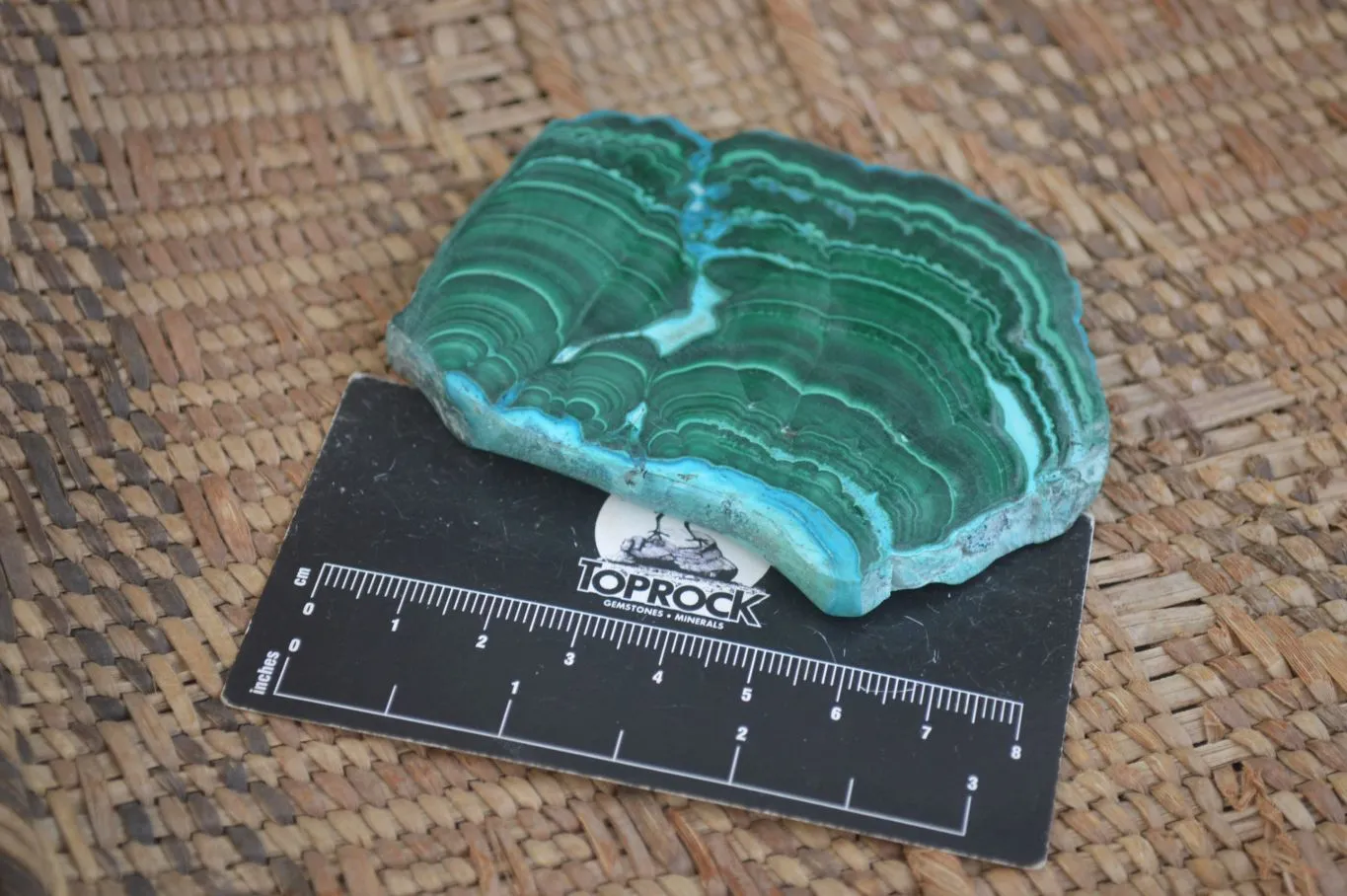 Polished Malacolla Slices x 6 From Kalukundi Mine, Congo