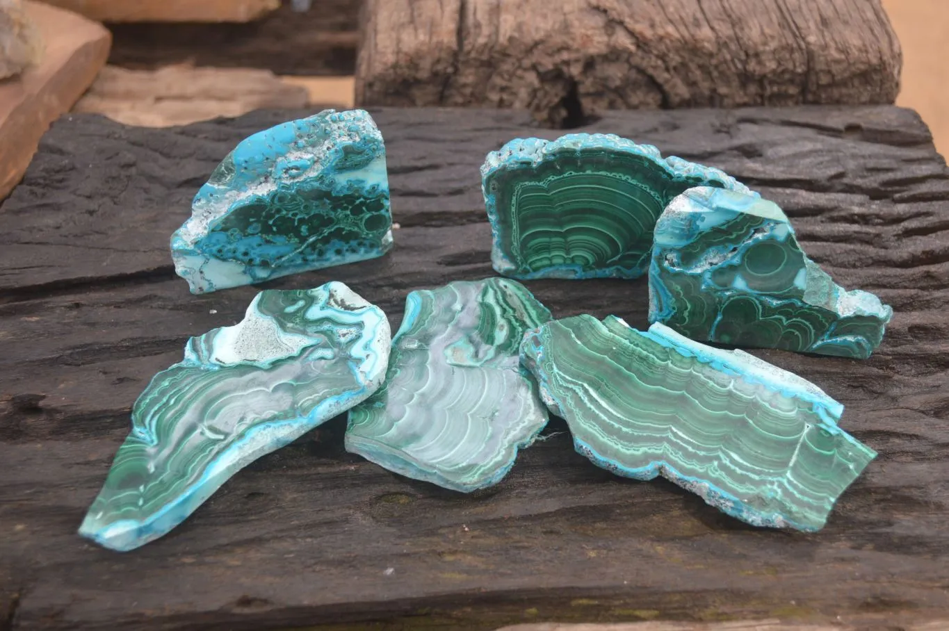 Polished Malacolla Slices x 6 From Kalukundi Mine, Congo