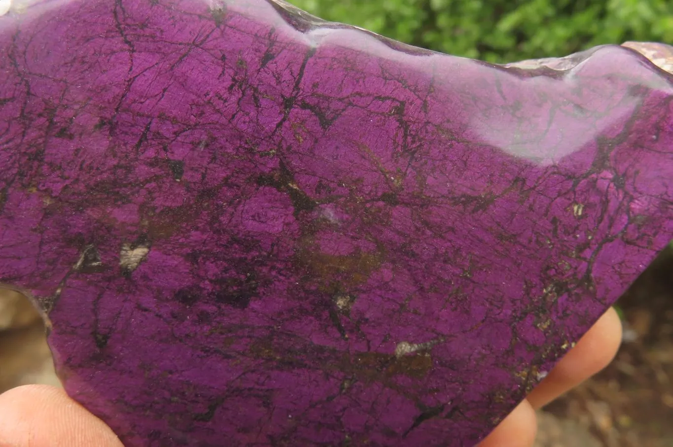 Polished On One Side Metallic Purpurite Specimens x 2 From Namibia