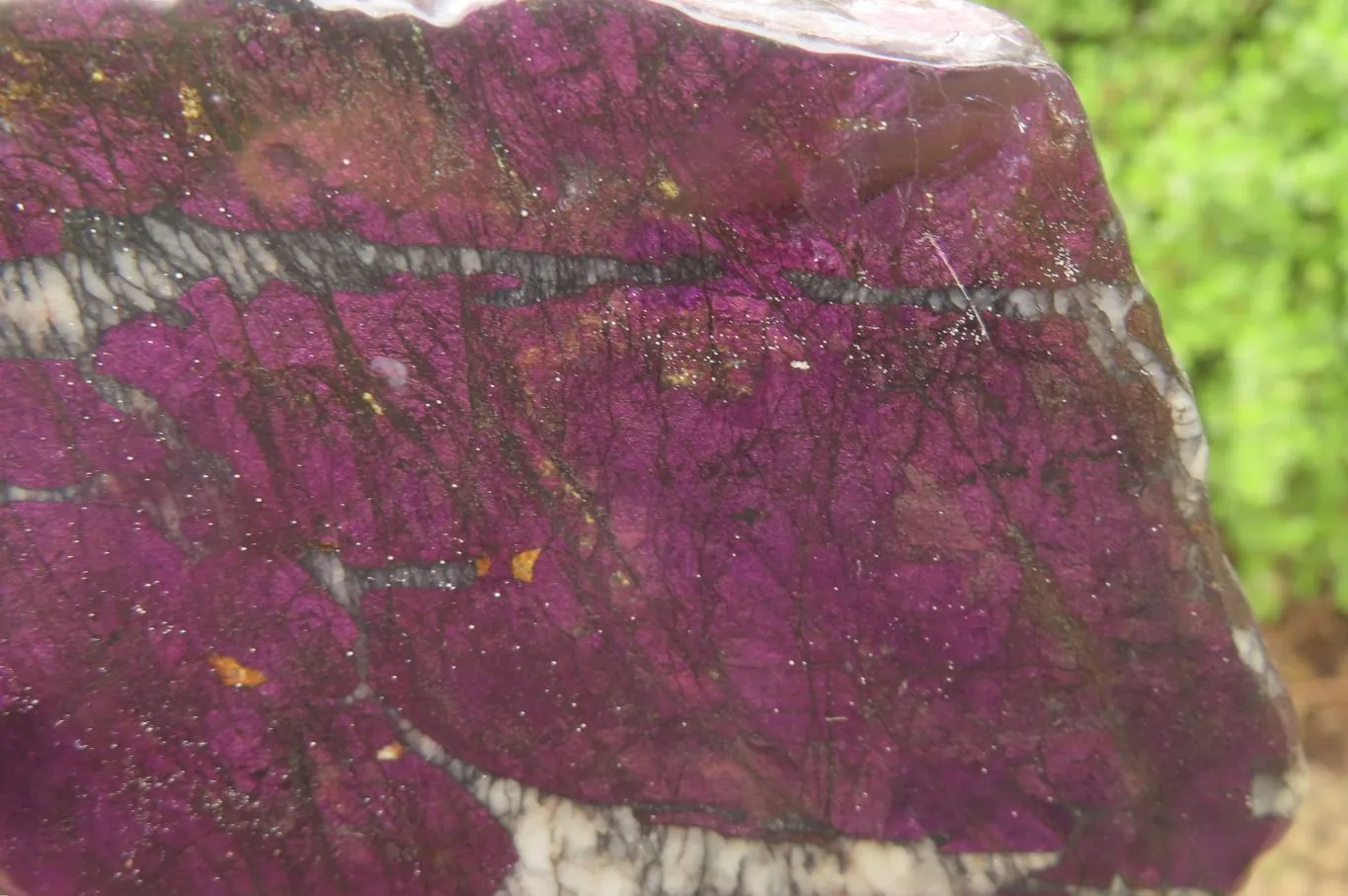 Polished On One Side Metallic Purpurite Specimens x 2 From Namibia