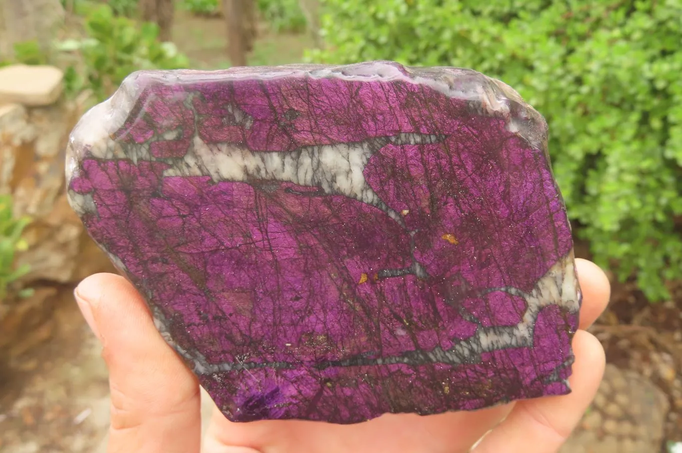 Polished On One Side Metallic Purpurite Specimens x 2 From Namibia