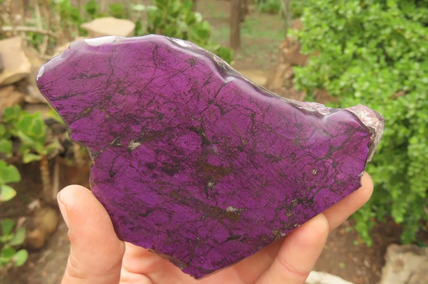 Polished On One Side Metallic Purpurite Specimens x 2 From Namibia