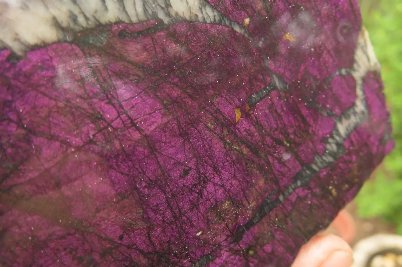 Polished On One Side Metallic Purpurite Specimens x 2 From Namibia