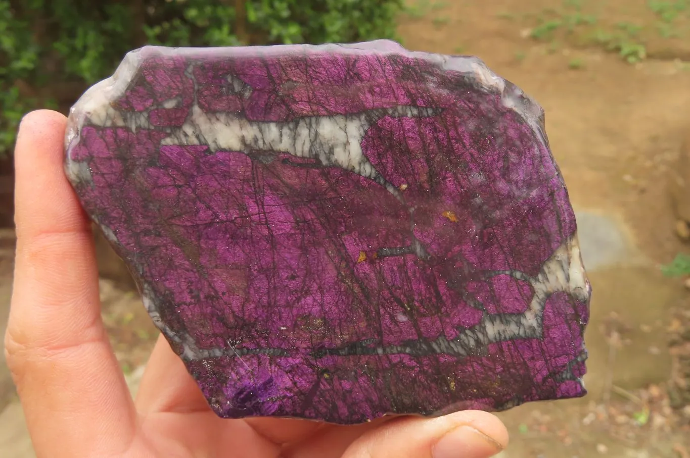 Polished On One Side Metallic Purpurite Specimens x 2 From Namibia