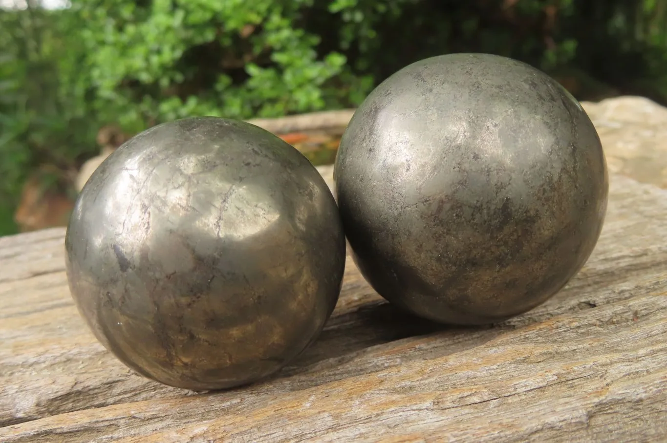 Polished Pharaoh Stone Spheres x 2 From Zimbabwe