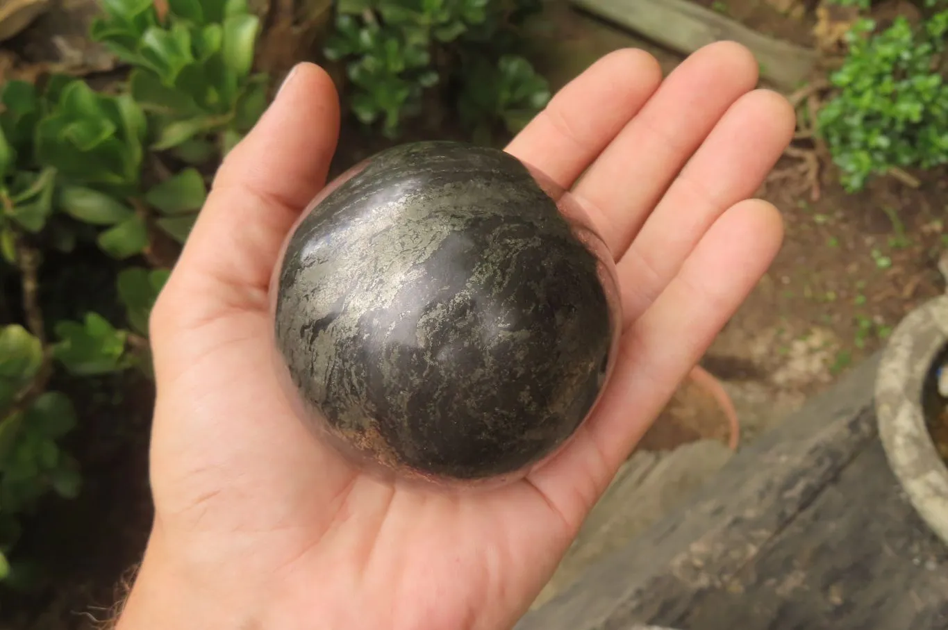 Polished Pharaoh Stone Spheres x 2 From Zimbabwe