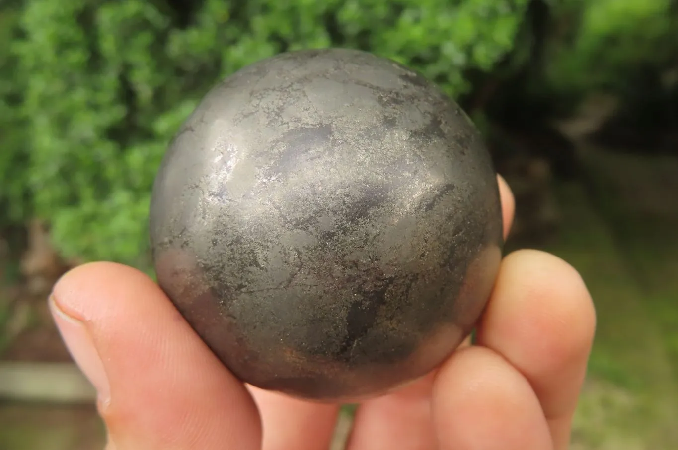 Polished Pharaoh Stone Spheres x 2 From Zimbabwe